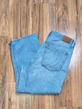 Madewell The Darted Barrel Leg Jean